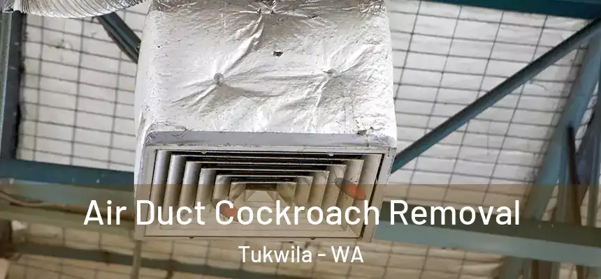 Air Duct Cockroach Removal Tukwila - WA