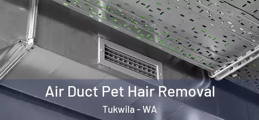  Air Duct Pet Hair Removal Tukwila - WA