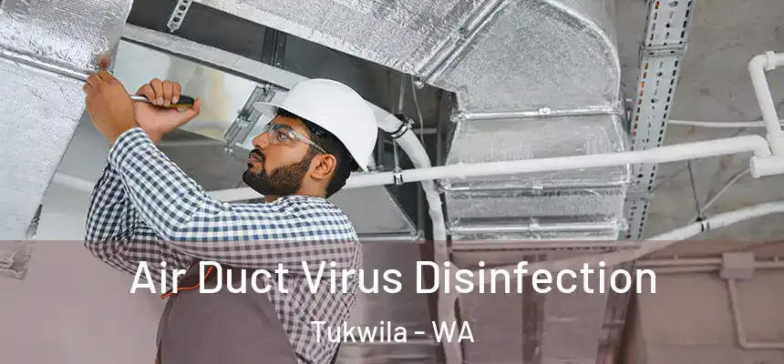 Air Duct Virus Disinfection Tukwila - WA