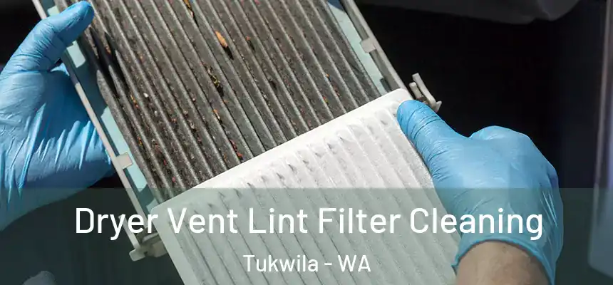 Dryer Vent Lint Filter Cleaning Tukwila - WA