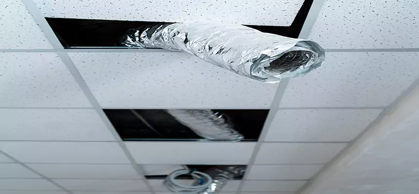 Affordable HVAC Sanitizing After Pest Removal in Tukwila