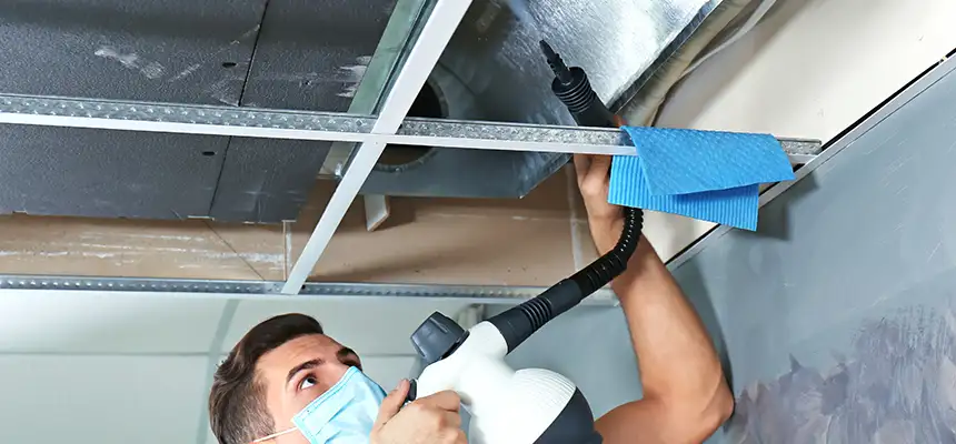 Our Air Duct Rodent Removal Services in Tukwila, WA
