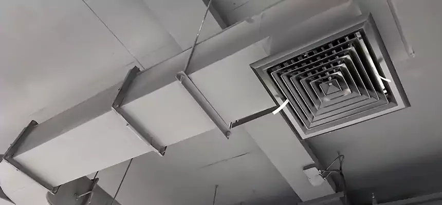 Restorative Allergy Relief Vent Cleaning – Coil, Blower & Housing Detail in Tukwila