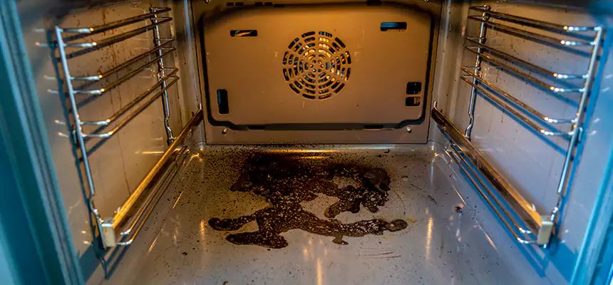 Our Dryer Vent Mold Cleaning Services in Tukwila, WA