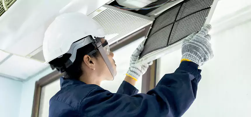 Our Mold & Mildew Removal from Air Ducts Services in Tukwila, WA