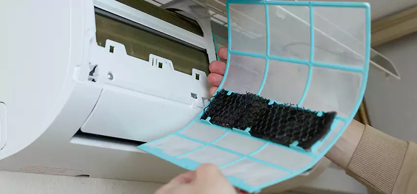 Gentle Ductwork Odor-Control Pet Dander Duct Cleaning in Tukwila, WA