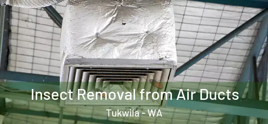 Insect Removal from Air Ducts Tukwila - WA