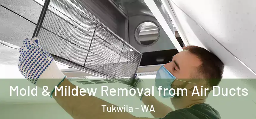  Mold & Mildew Removal from Air Ducts Tukwila - WA
