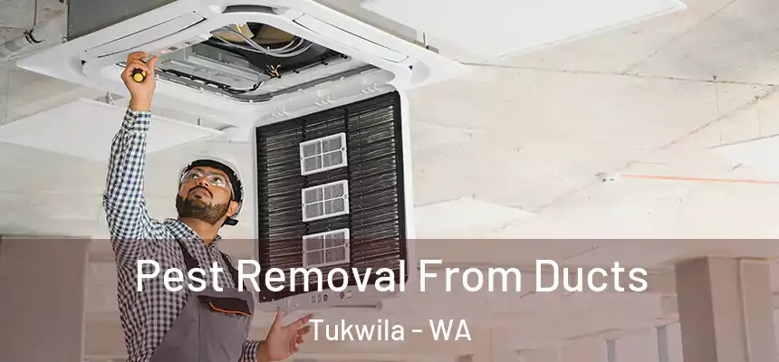 Pest Removal From Ducts Tukwila - WA