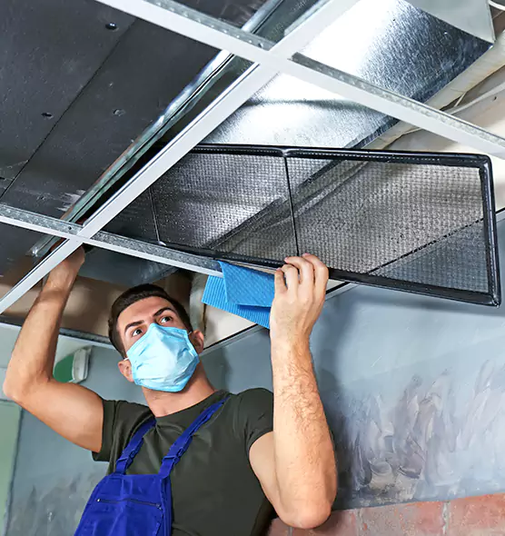 About Air Duct Bacteria Removal in Tukwila