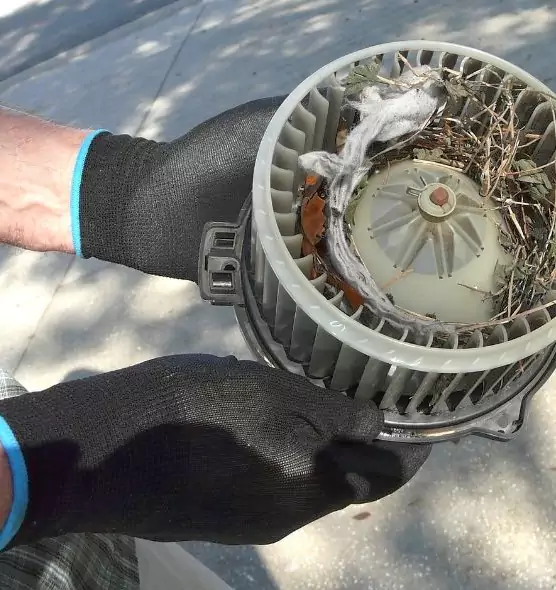 About Air Duct Rat Removal in Tukwila, WA