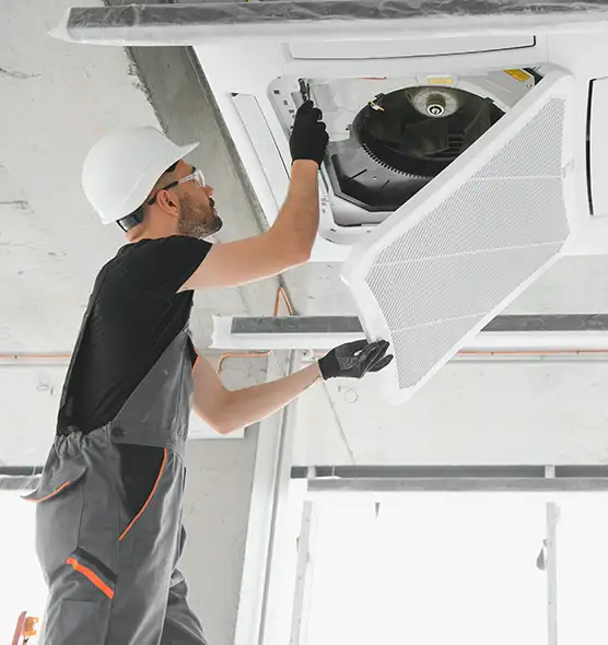 About Air Duct Rodent Removal in Tukwila, WA