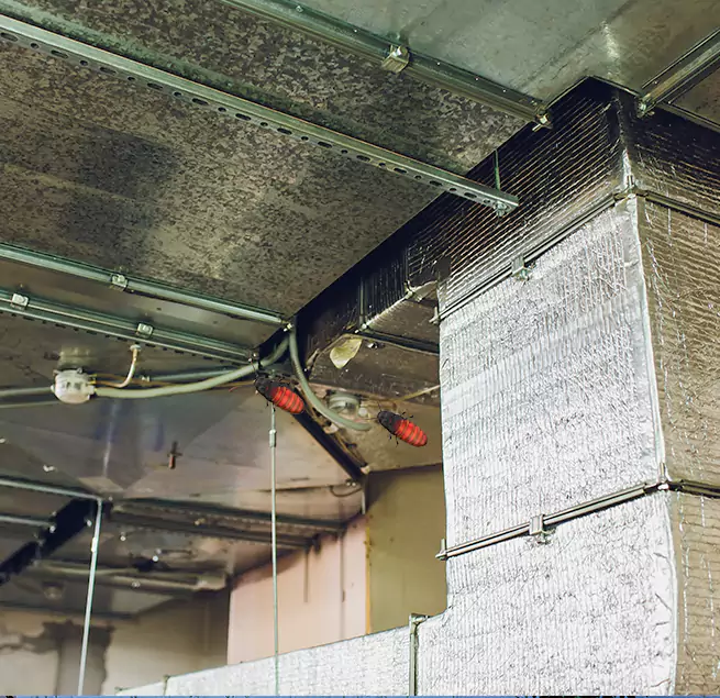 Why Homeowners & Businesses Trust Us in Tukwila, WA?