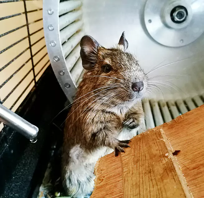 Why Homeowners & Businesses Trust Us Tukwila, WA