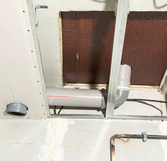 Why Homeowners & Businesses Trust Us in Tukwila, WA?