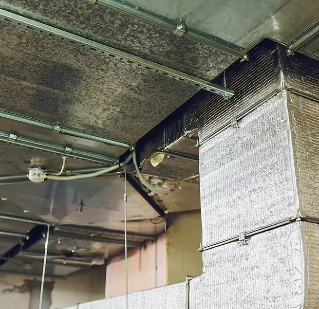 Why Homeowners & Businesses Trust Us in Tukwila, WA?