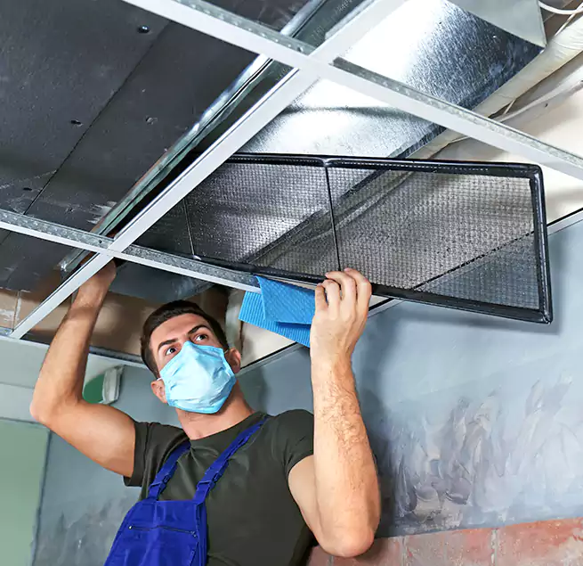 Why Homeowners Businesses Trust Us in Tukwila, WA